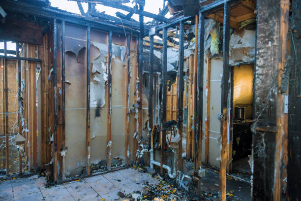Professional Fire Damage Removal technician working in Waverly, MN