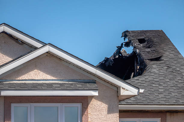 Top rated local Fire Damage Removal specialists in Waverly, MN